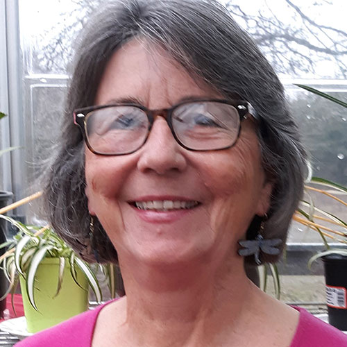 Donna Menke